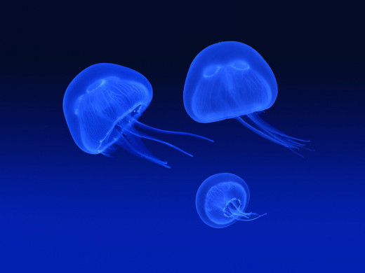 353581 (a): :1024x768